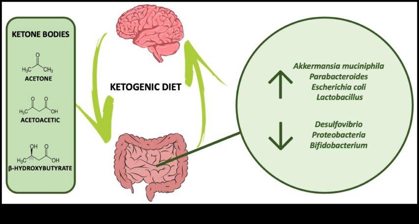 Yüksek Proteinli Diyet Bağırsak-Beyin Ekseninin Dostu mu Düşmanı mı?